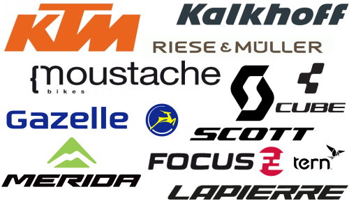 Electric Bikes