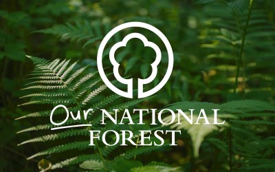 national forest