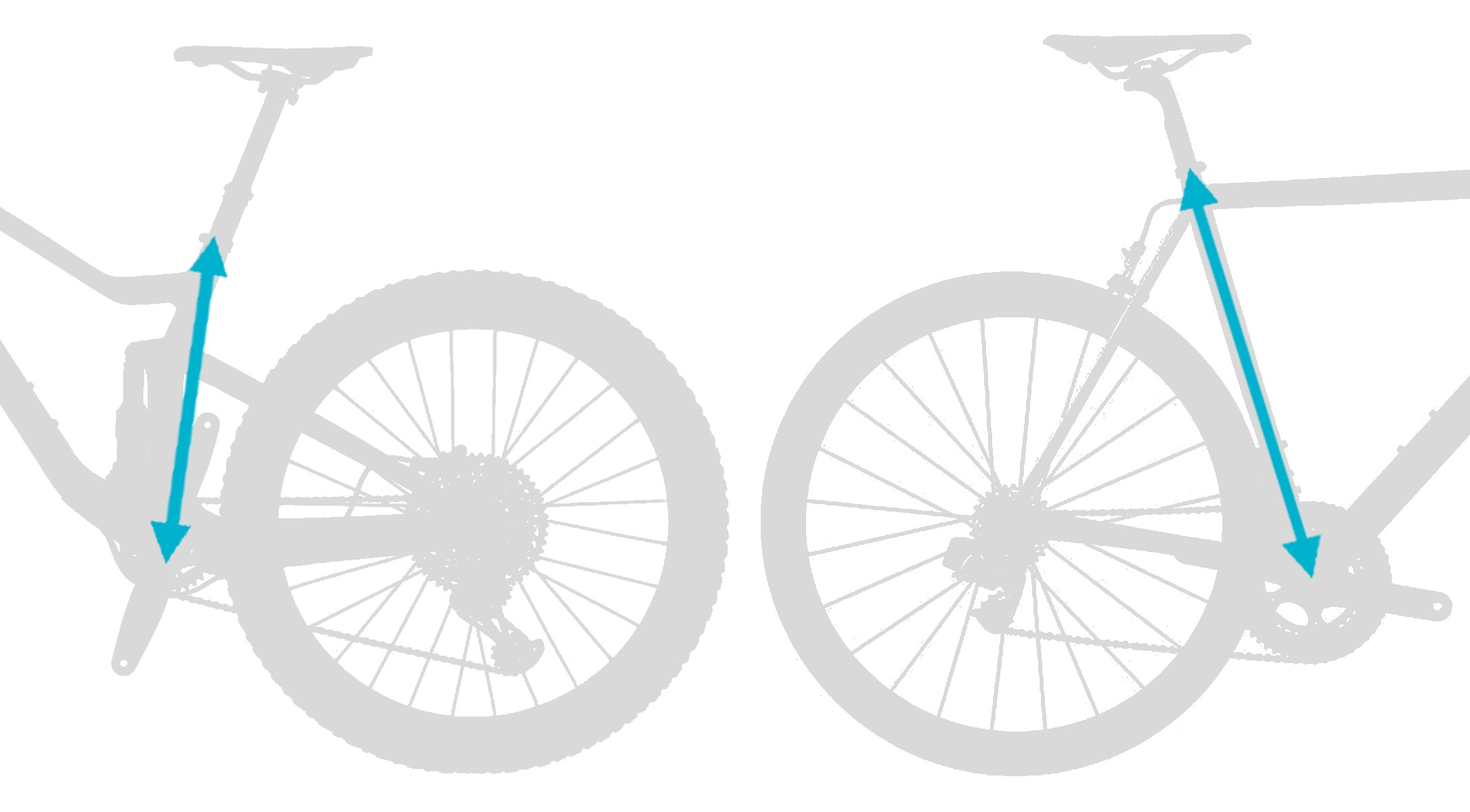 Sizing Guide