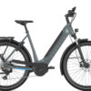 Gazelle Ultimate T10 HMB - grey