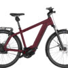 Riese & Muller Charger4 Vario - dark red matt