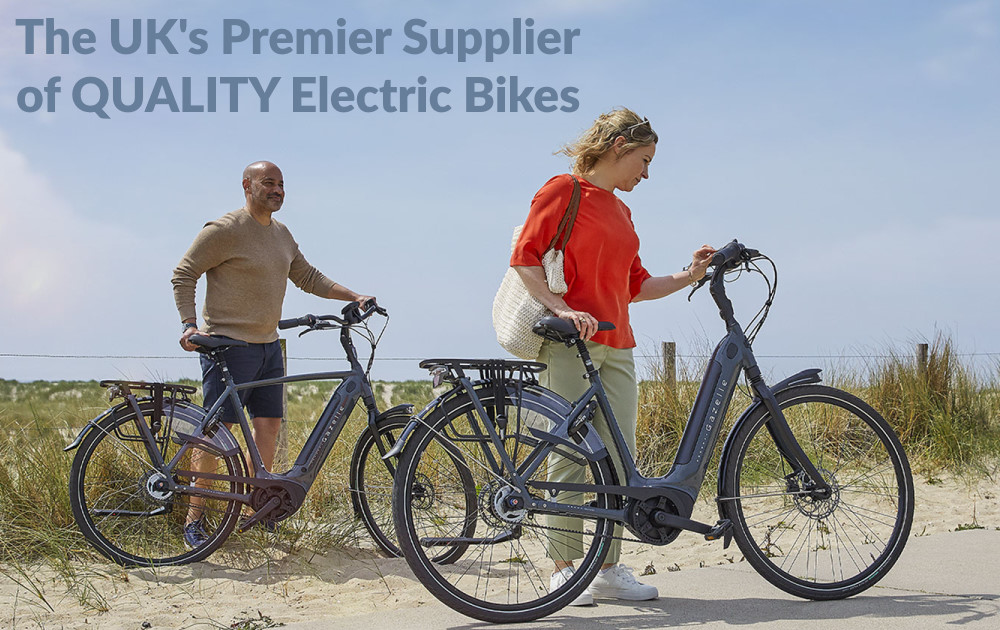 Electric Bikes Homepage 2023