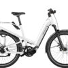 Riese & Muller Homage4 GT Rohloff - pearl white