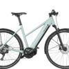 Riese & Muller Roadster4 Mixte Touring - salvia matt