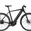 Riese & Muller Roadster4 Vario - black