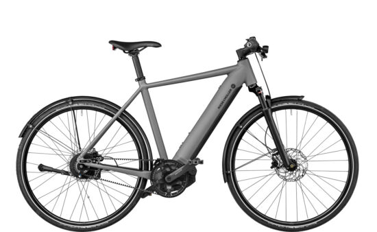 Riese & Muller Roadster4 Vario - grey