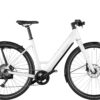 Riese & Muller UBN Six Touring - pure white