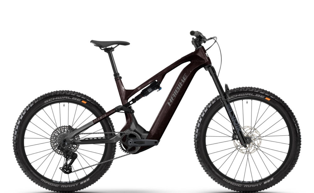 Haibike ALLMTN CF 9 - BLACK-PLATINUM-GLOSS