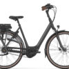 Gazelle Orange C8+