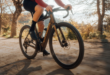 Orbea Denna Full View