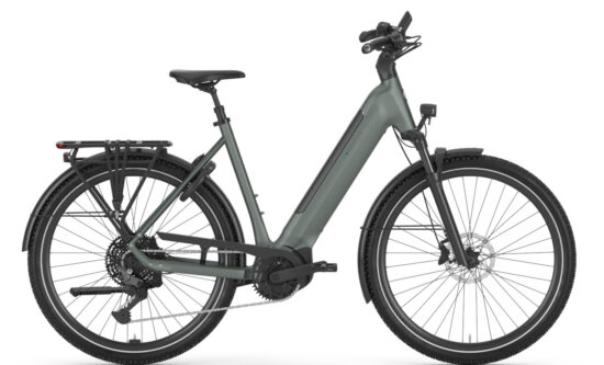 Gazelle Ultimate T11 step through