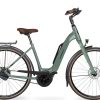 Velo de Ville AEB 800 CLASSIC - eucalyptus green matt