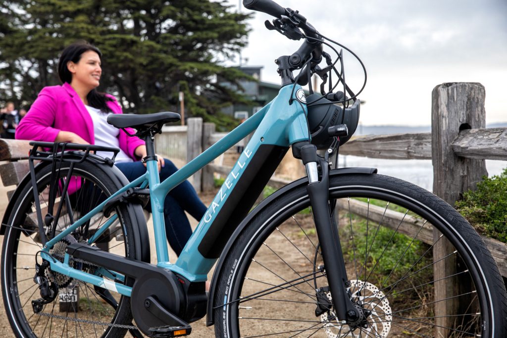 Electric Bike Buying Guide