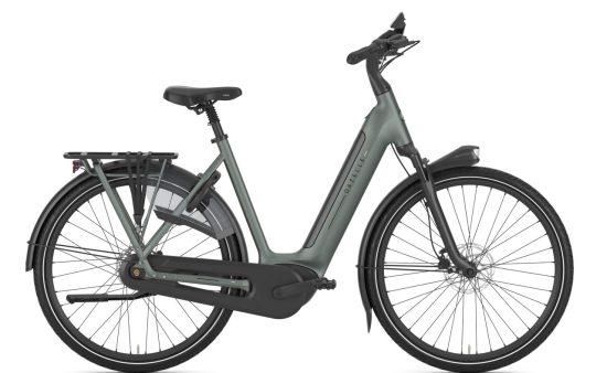 Gazelle Grenoble C8+ easy entry twilight green