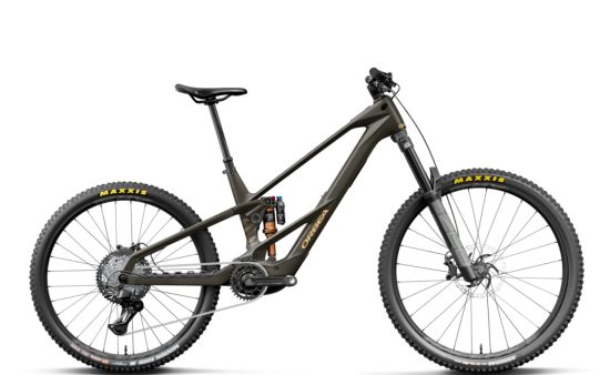 Orbea WILD LT M20 Mullet Magic Gold C. View Matt - Titan Gold Gloss