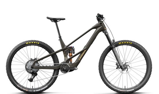 ORBEA Wild LT M20 - magic gold